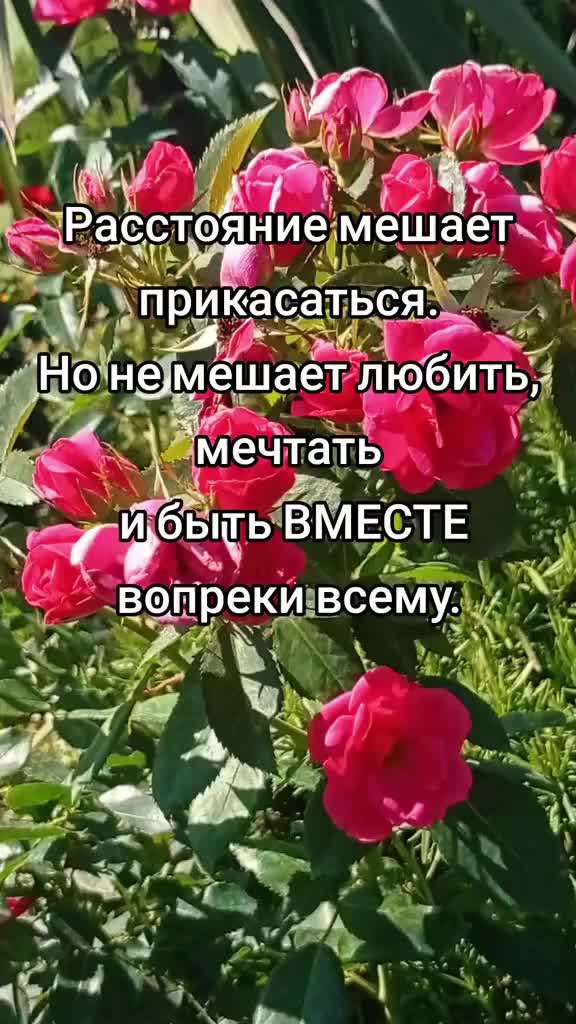 @Марина 🌺🍃