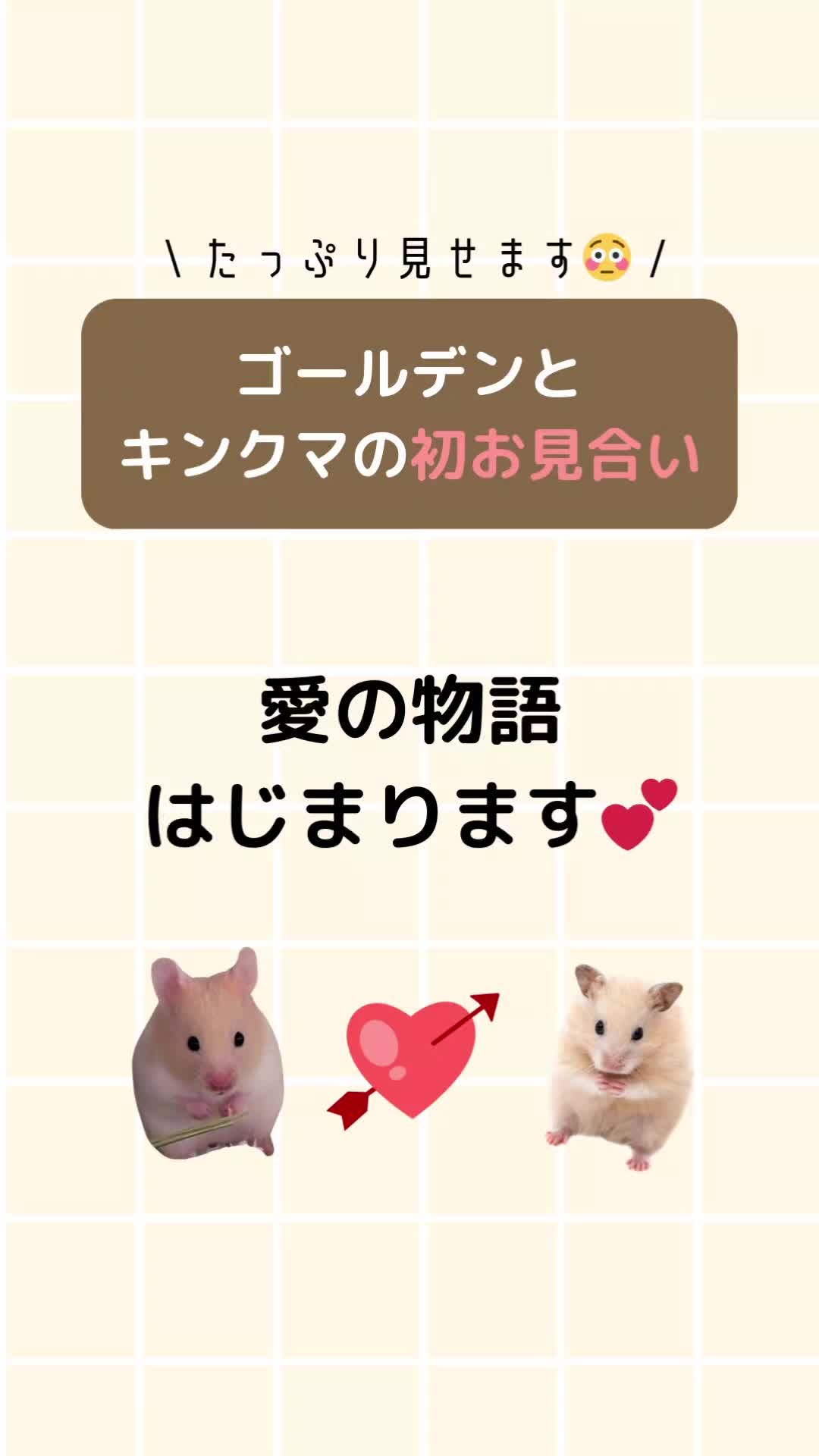 @鼻声🐹主婦