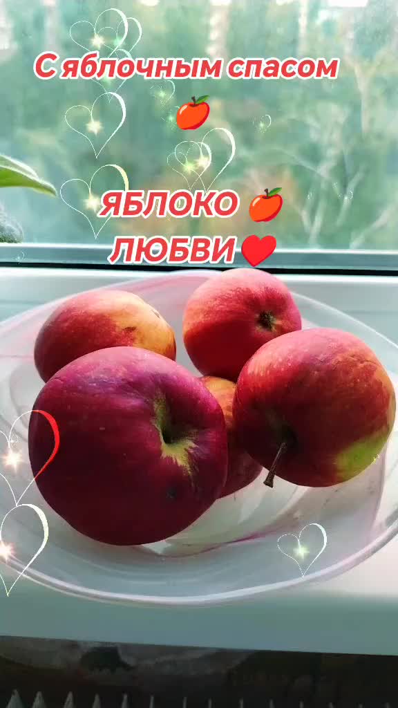 @Анечка 🌹