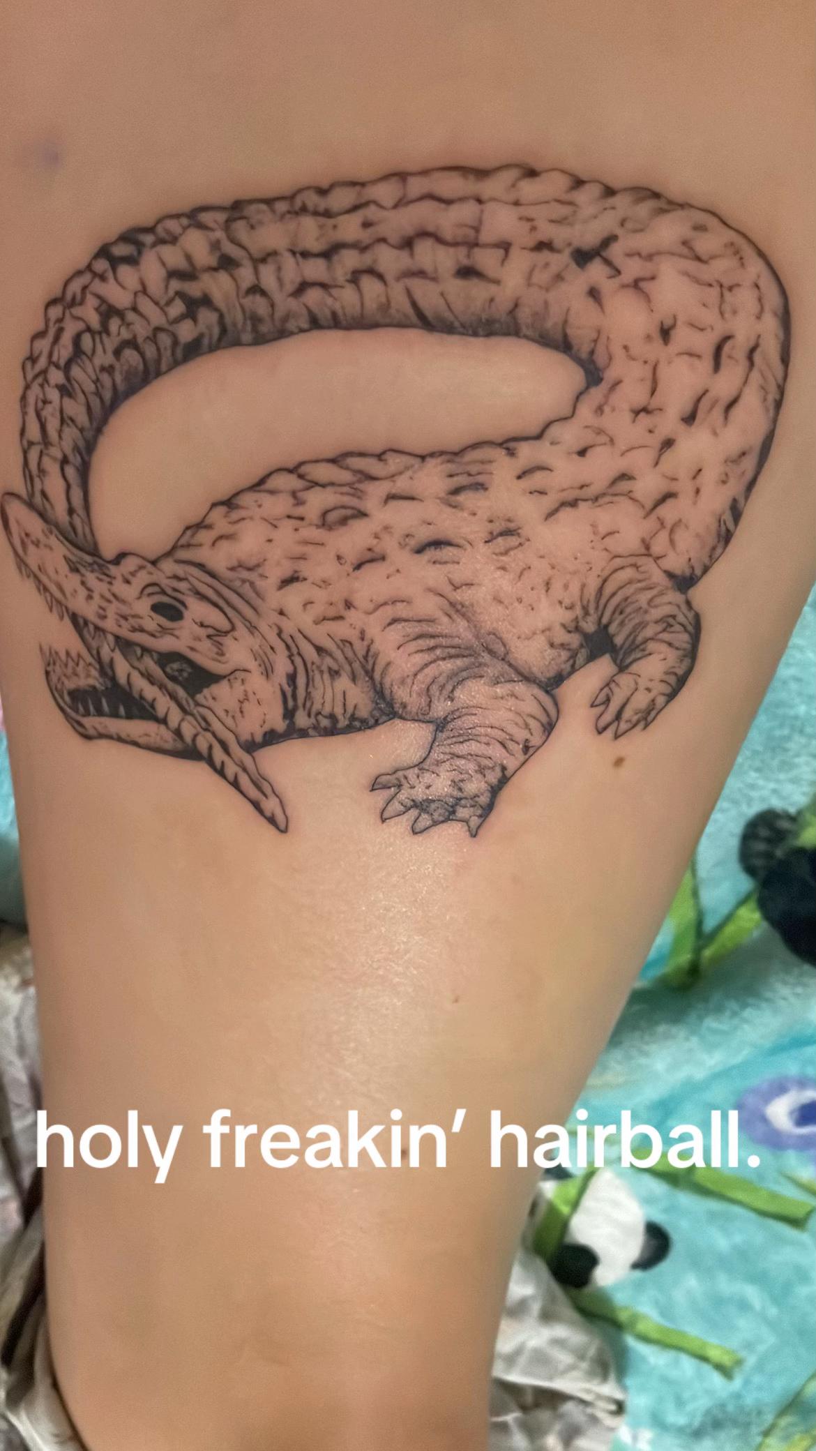 @Emily🦦