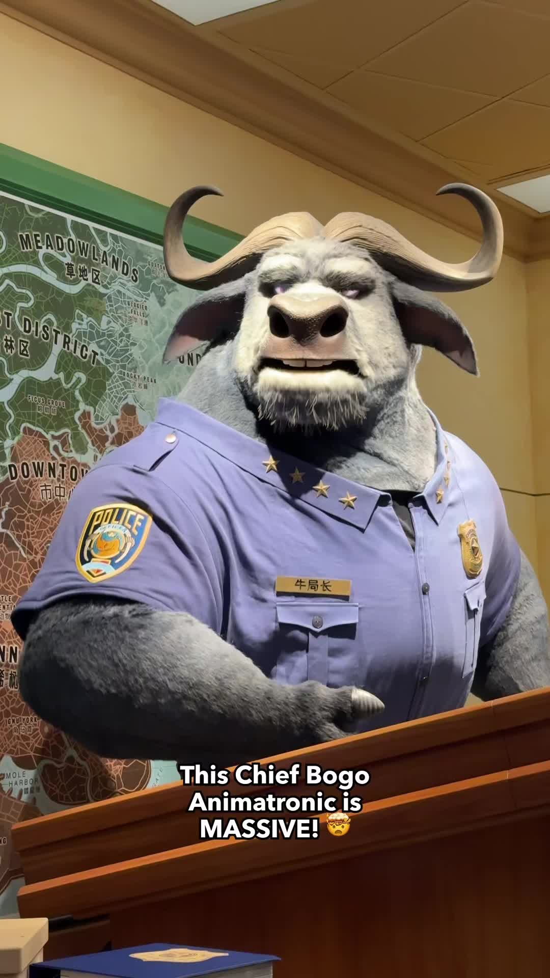 @The DIS