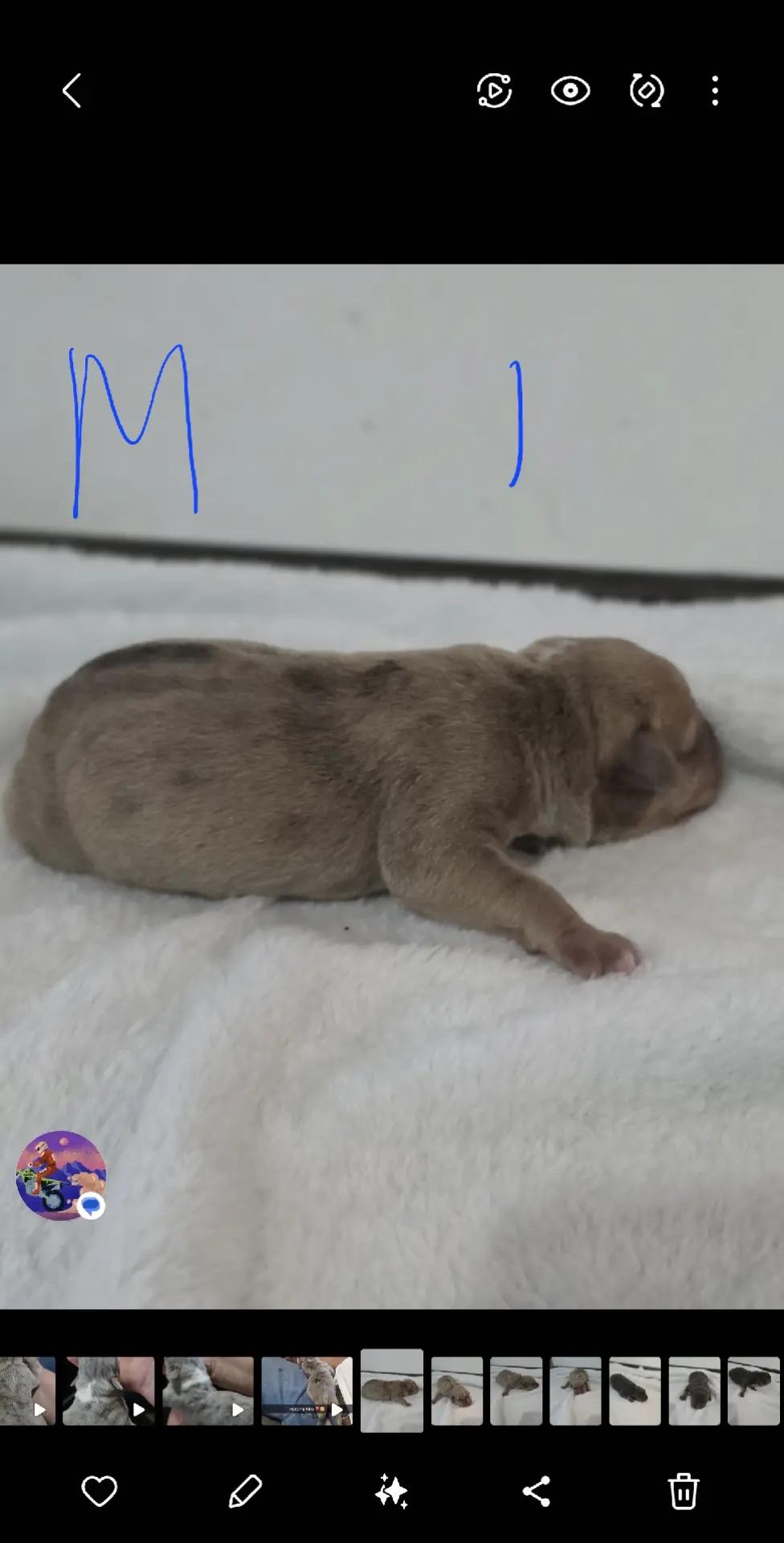 @Hera_The_Bully