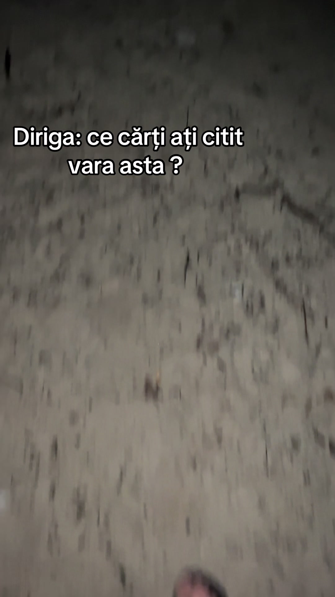 @bogdant.26