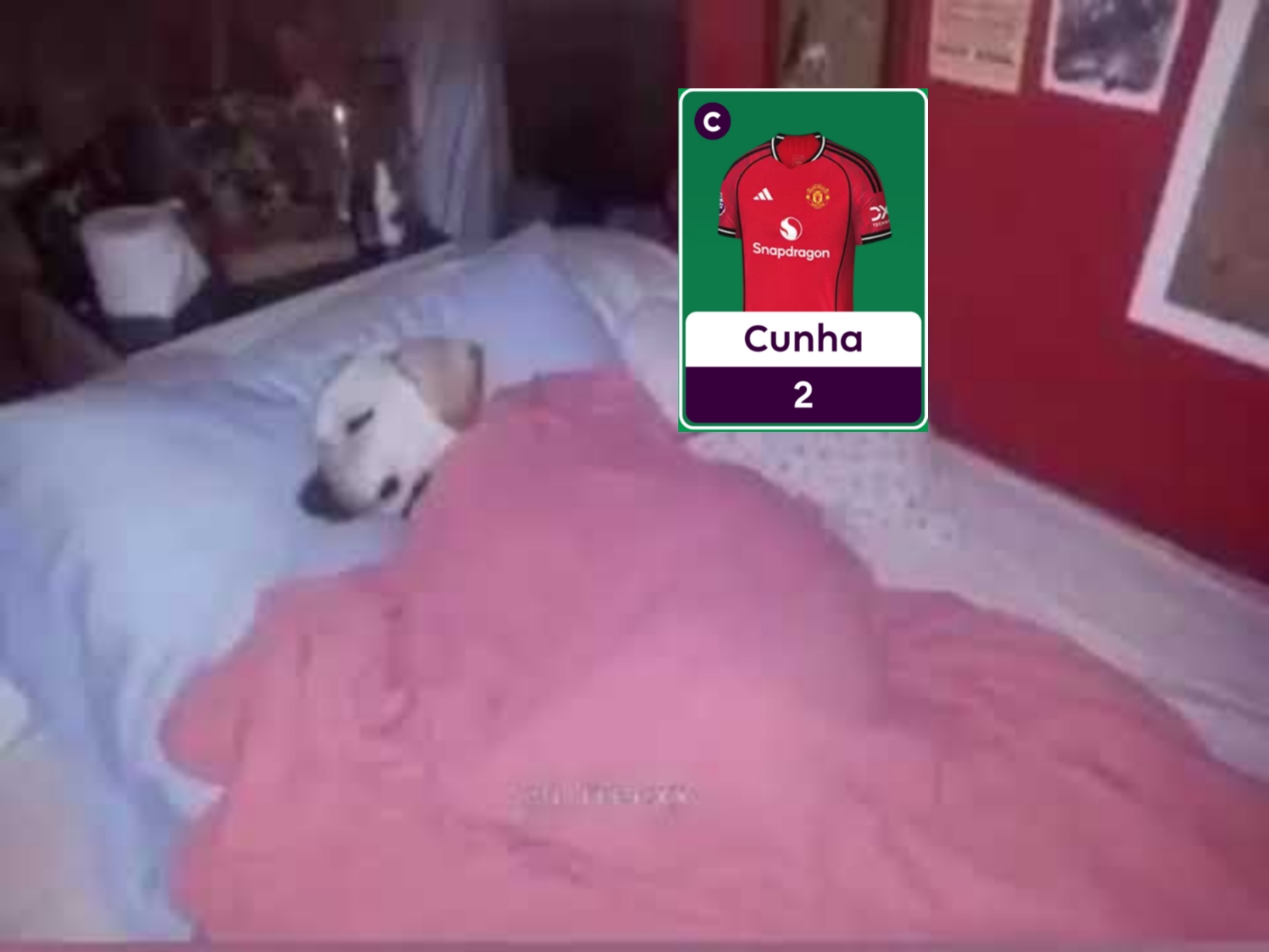 @Guesra | FPL