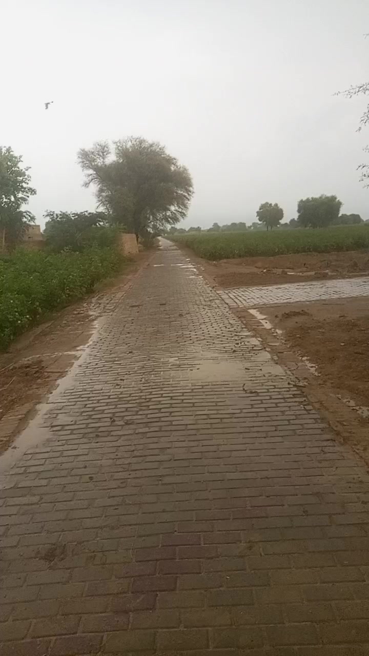 @Shahzad Shahzad