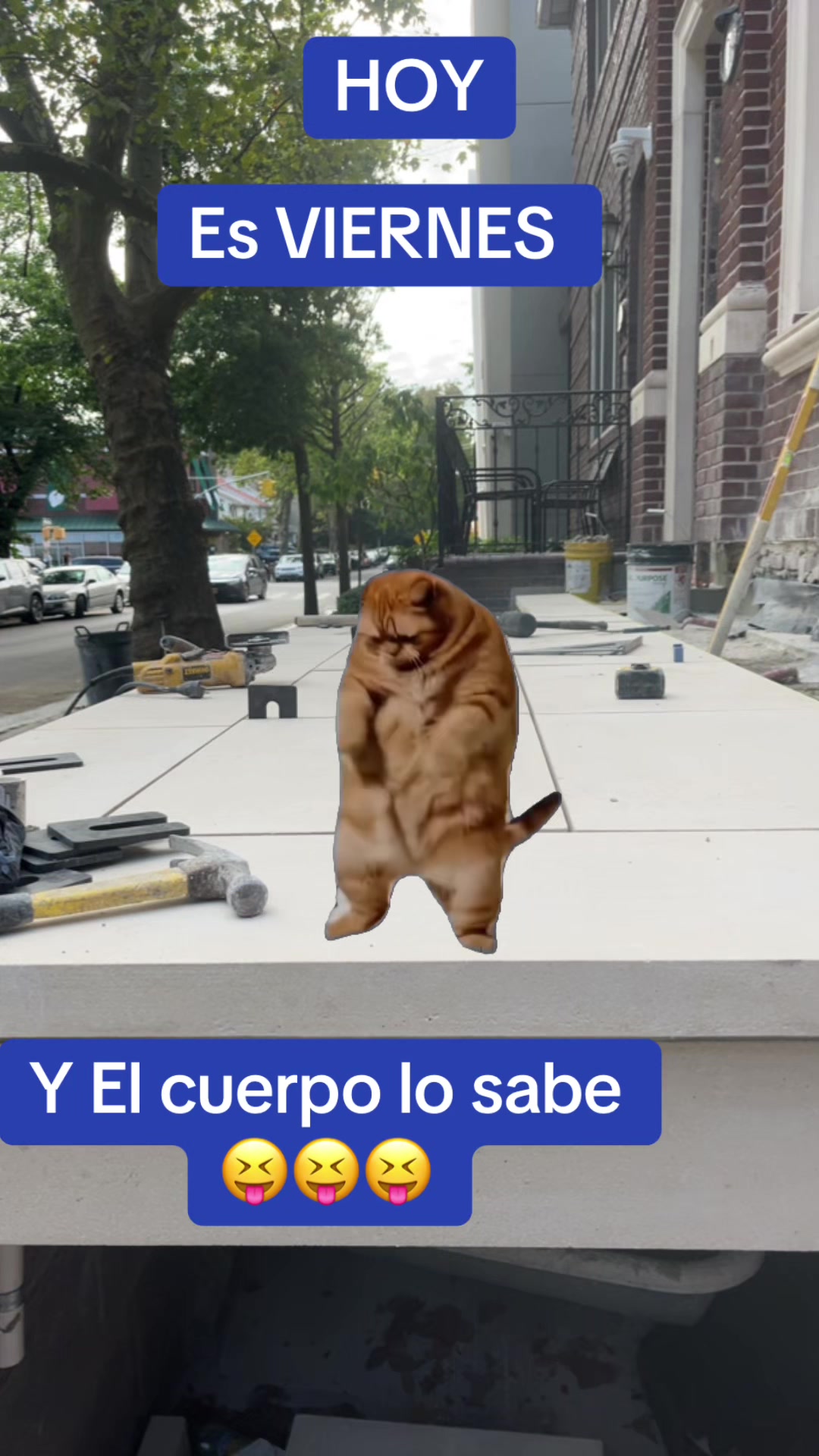 @central87