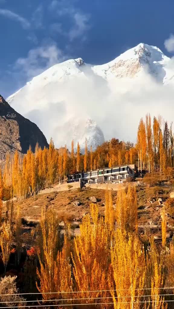 @Findmytrip