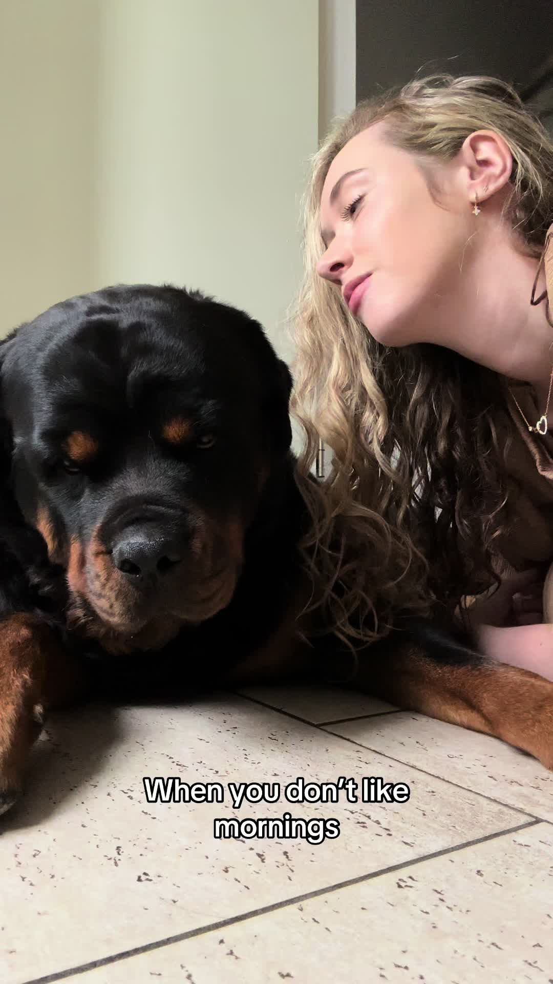 @Dyce de rottweiler