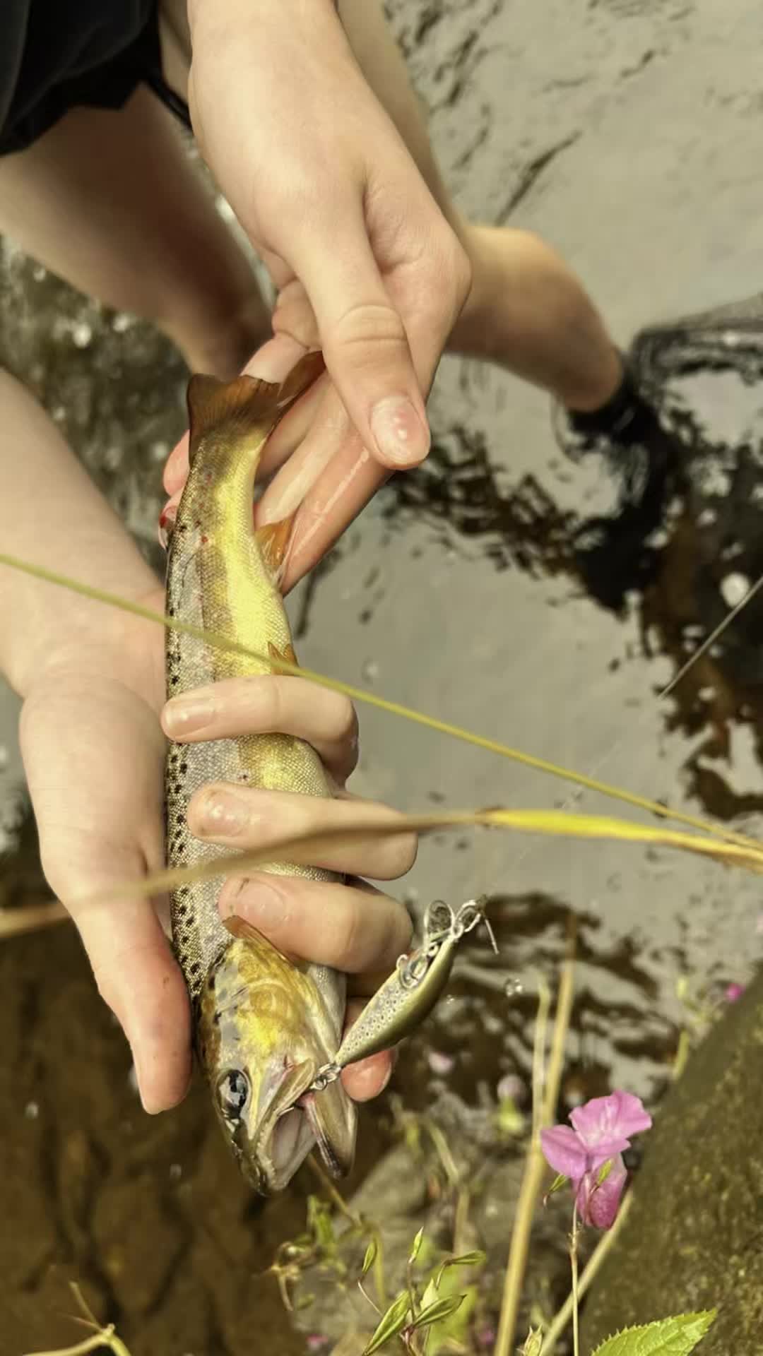 @dryflyguy15