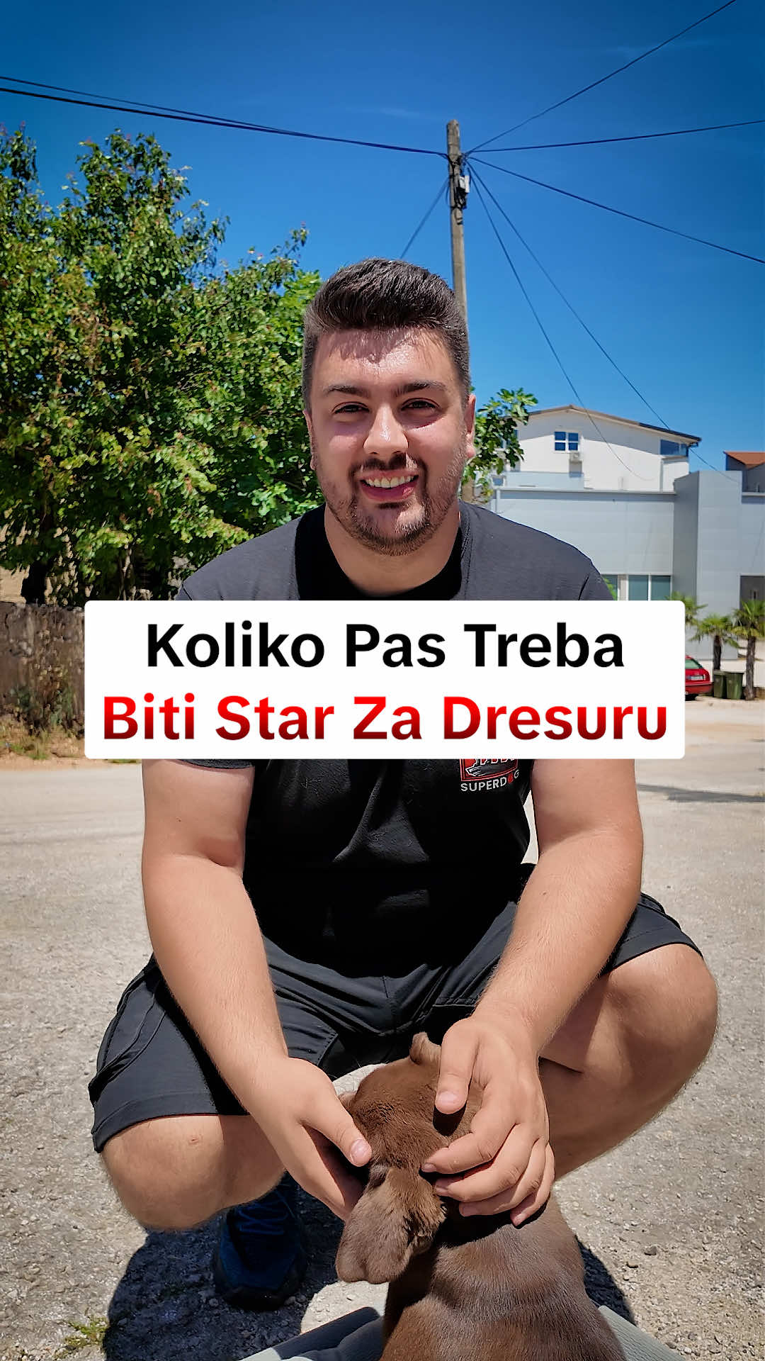 @superdog.akademija