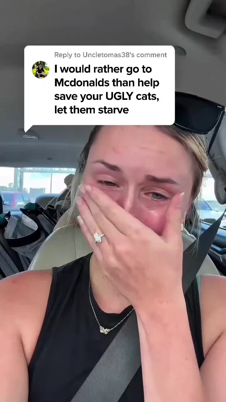@Purry Paws