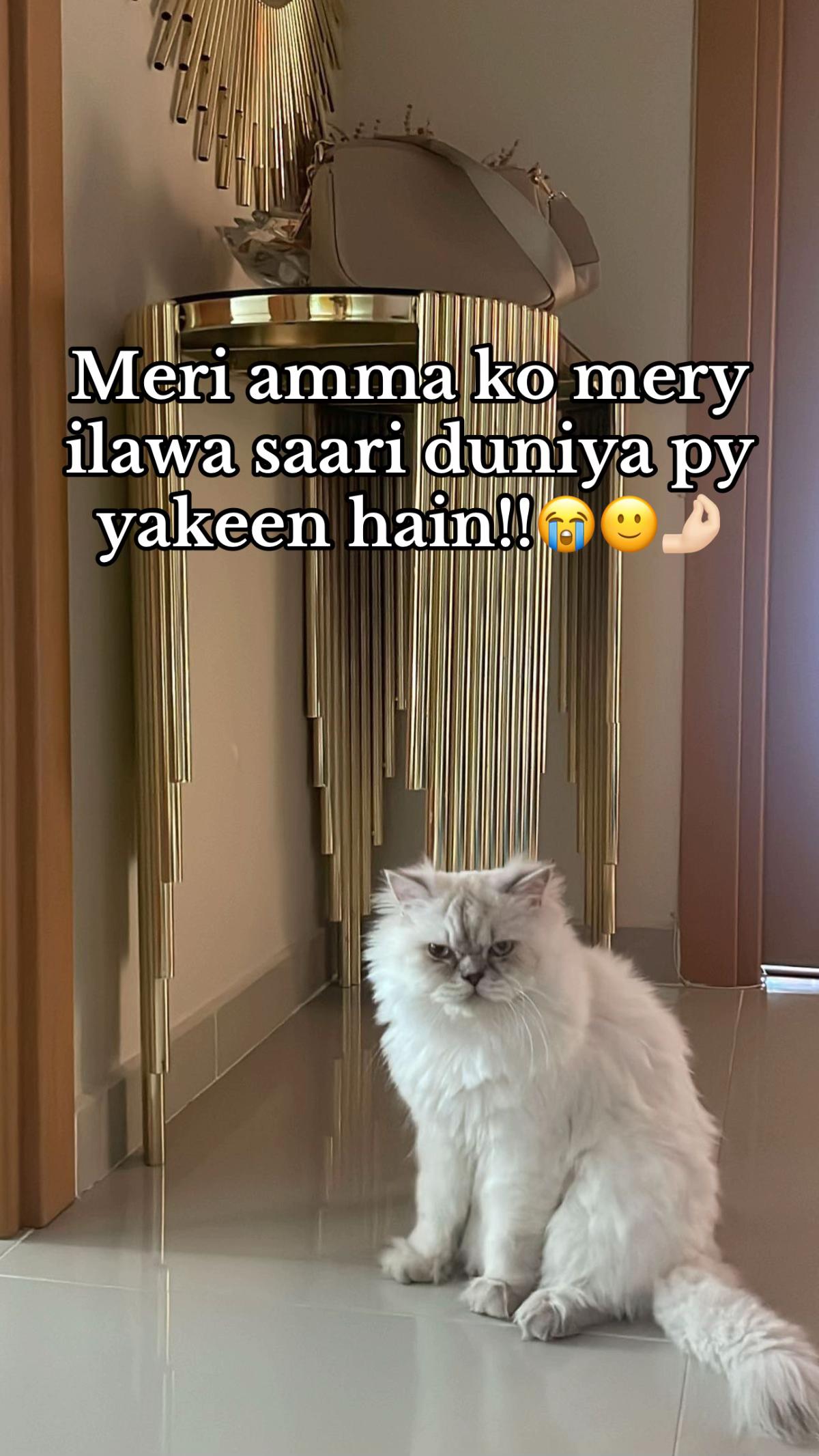 @🌷