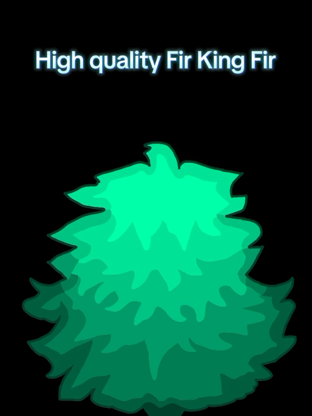 @🌲🌲🌲Fir King🌲🌲🌲