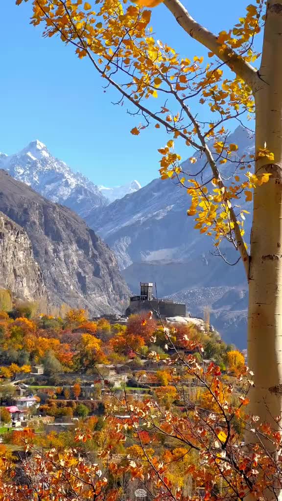 @Findmytrip