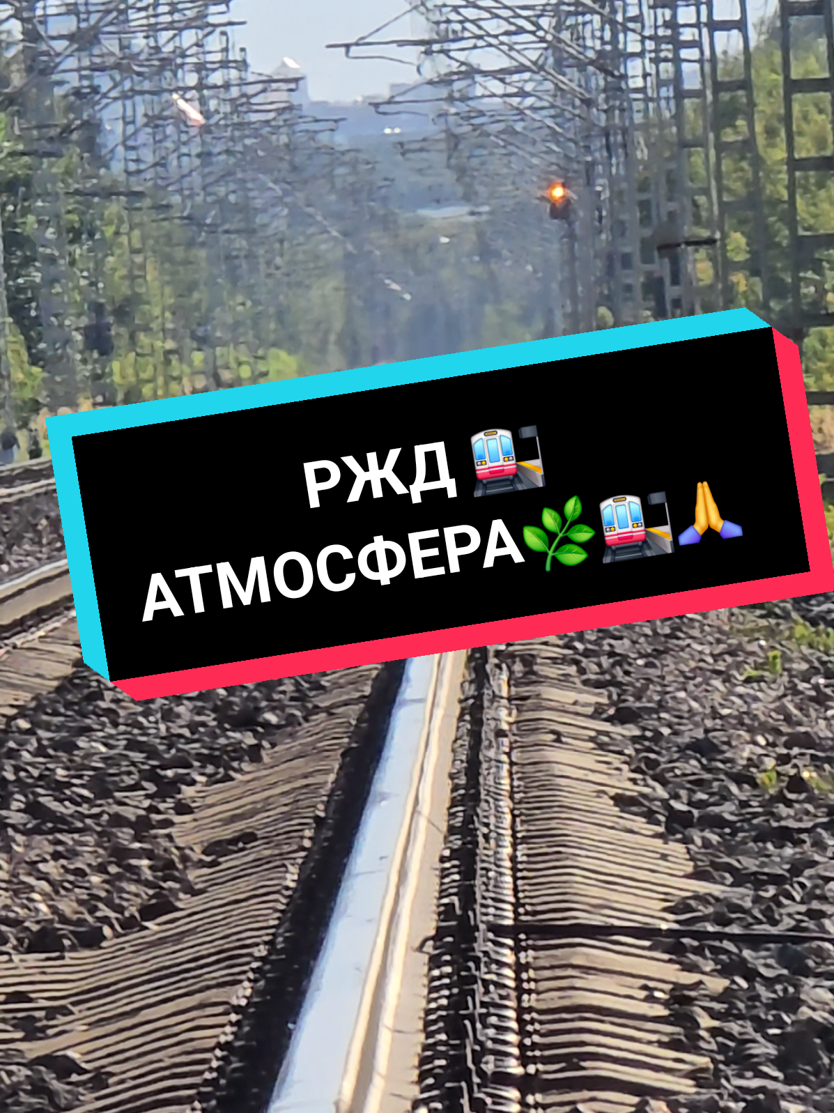 @Дмитрий Шейкин