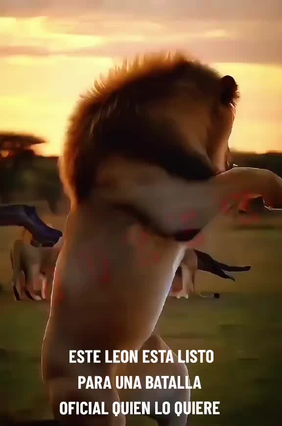 @🎭&diams;️𝐉𝐎𝐊𝐄𝐑❸❽🇪🇨ʝӄʀ