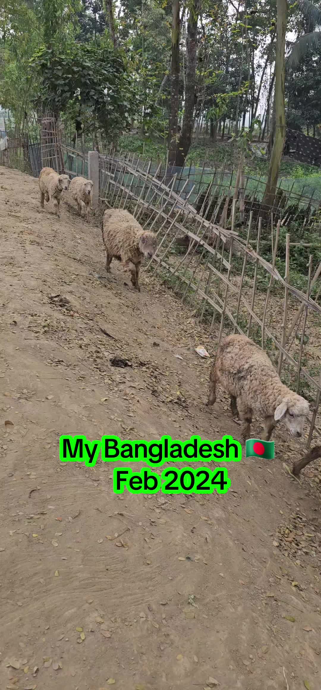 @Noori Ahmed