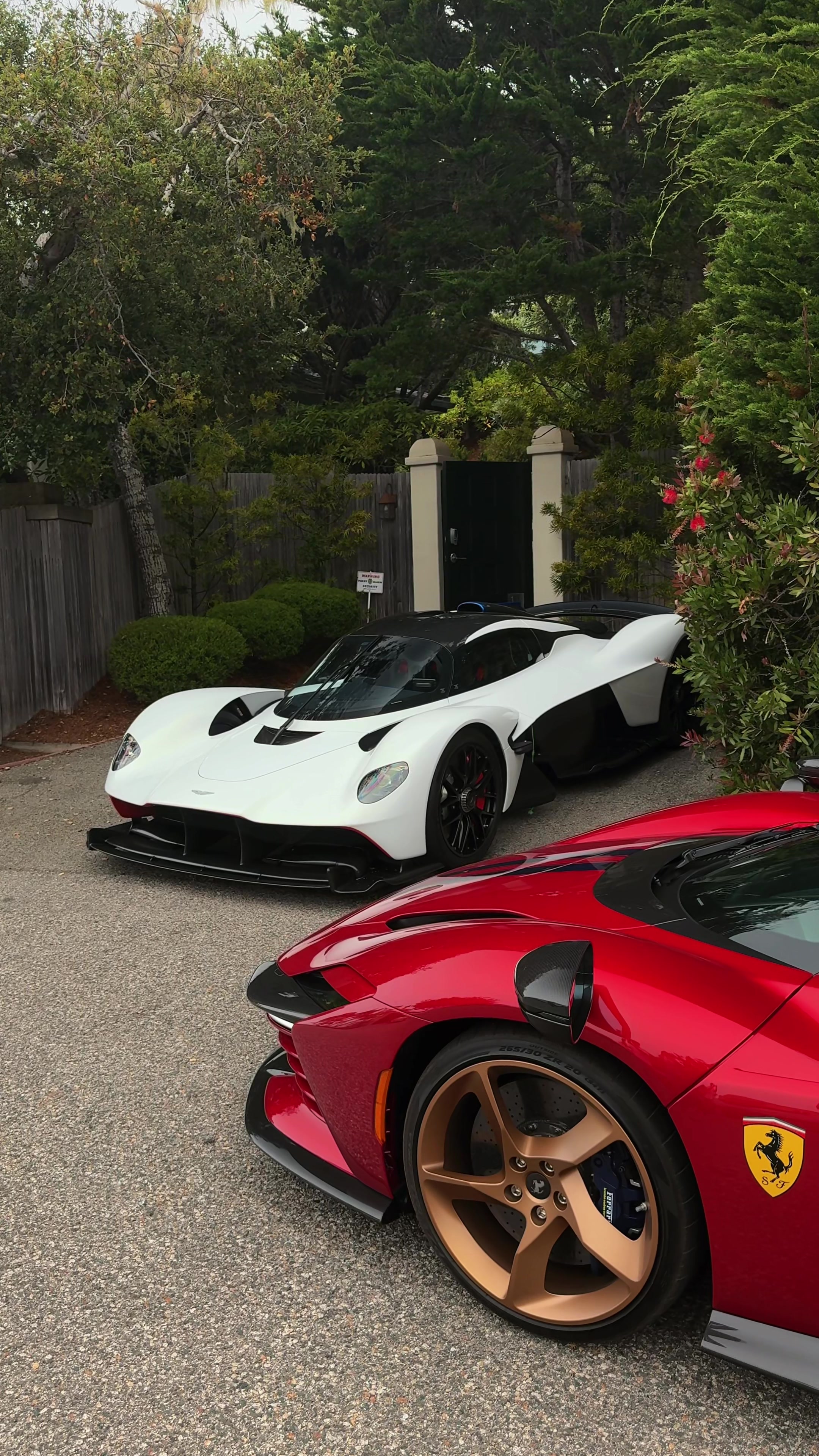 @wtcars