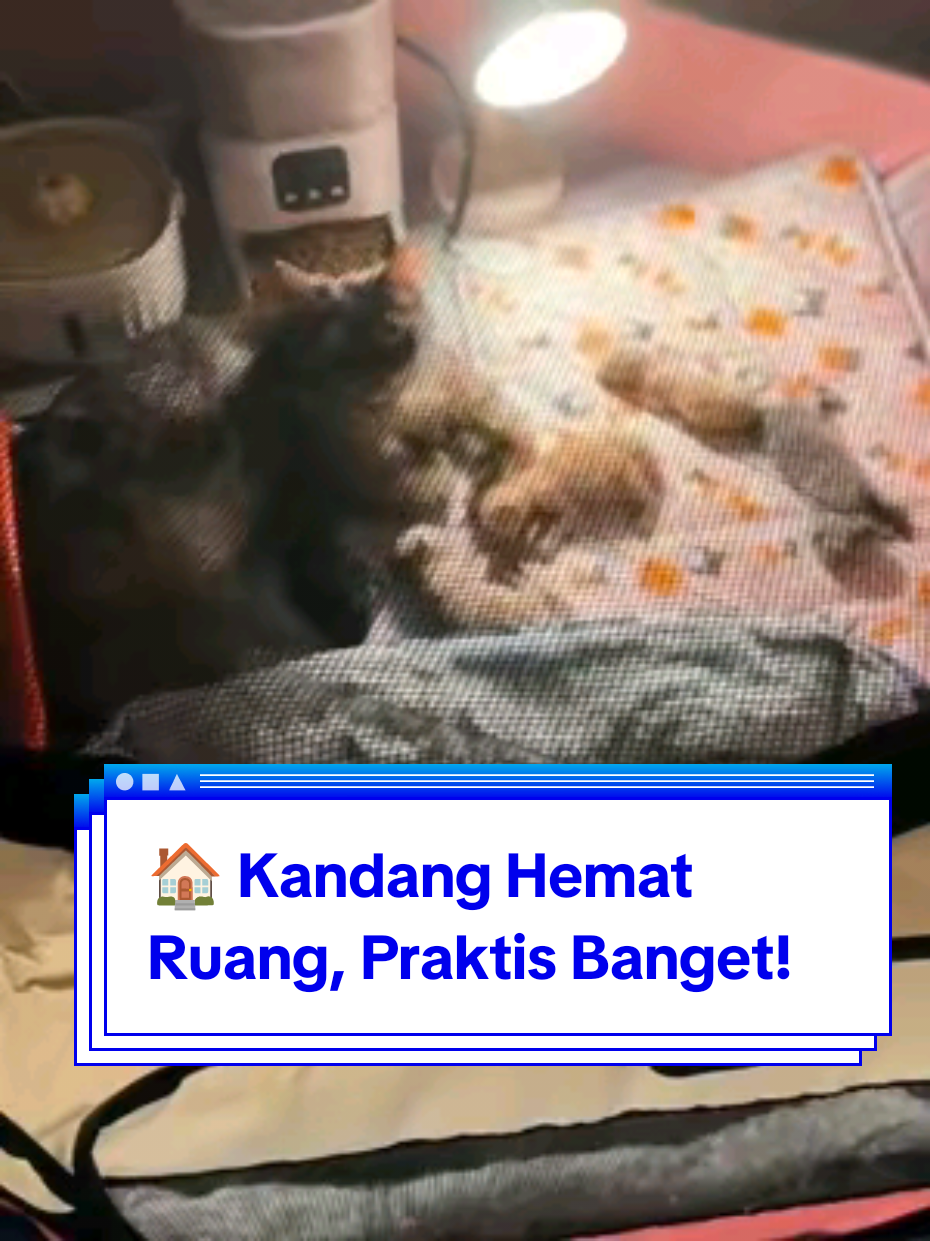 @Medayo Petcare
