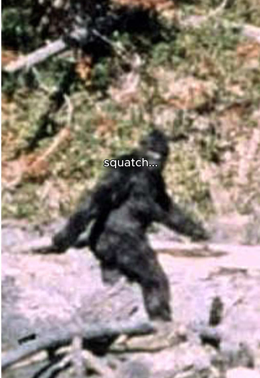@Dr. Squatch