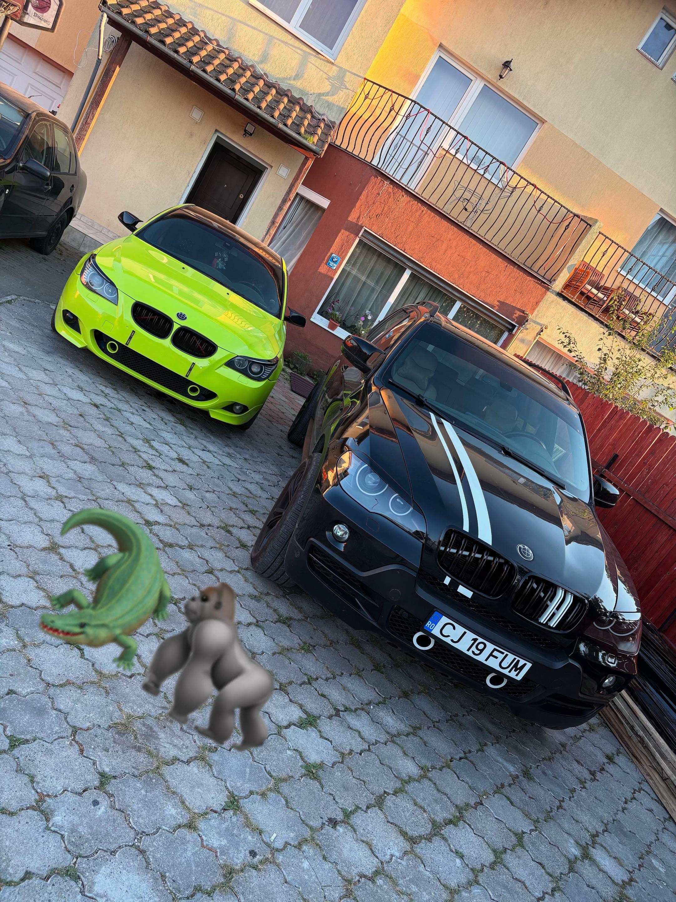 @Seby 🦍