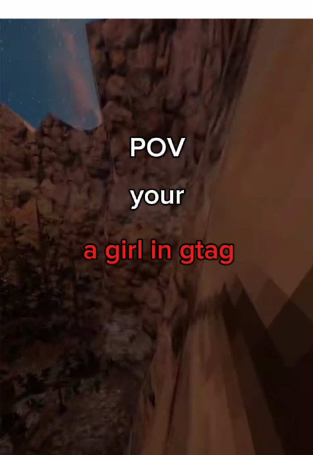 @💕TurtleVr🐢