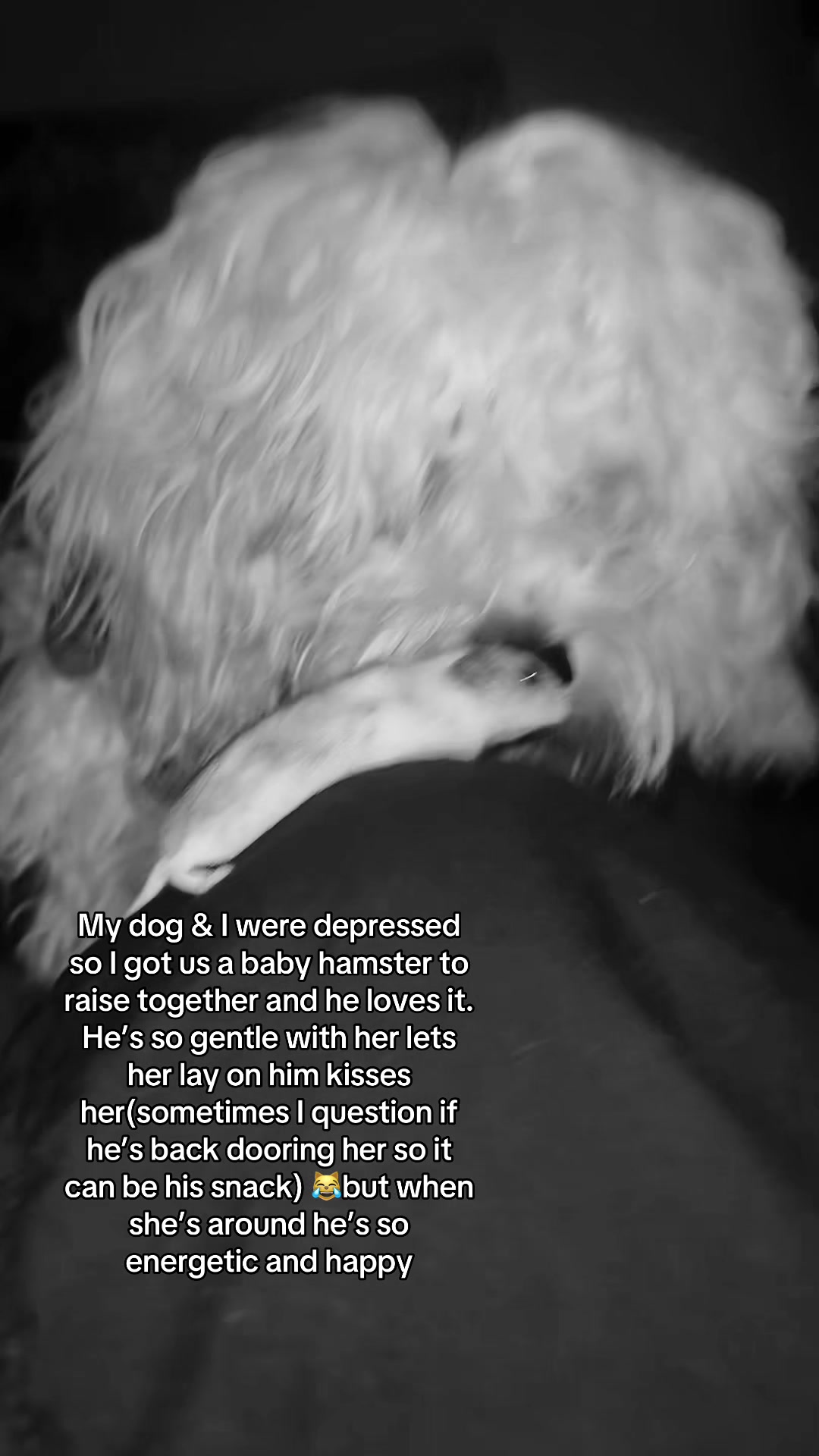 @🖤