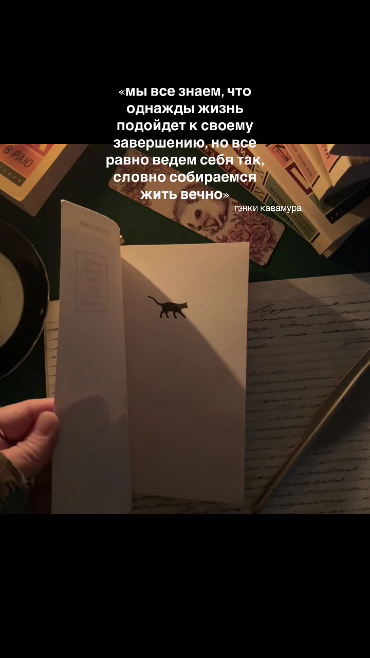 @бесконечность в переплёте🪐🍂