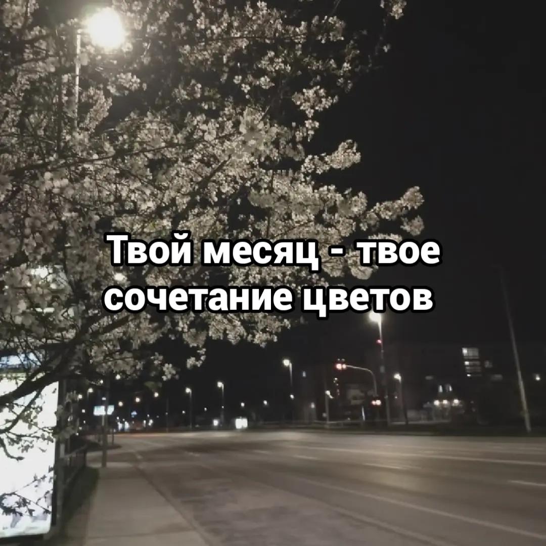 @𝓇𝒾𝒷𝒾𝓉