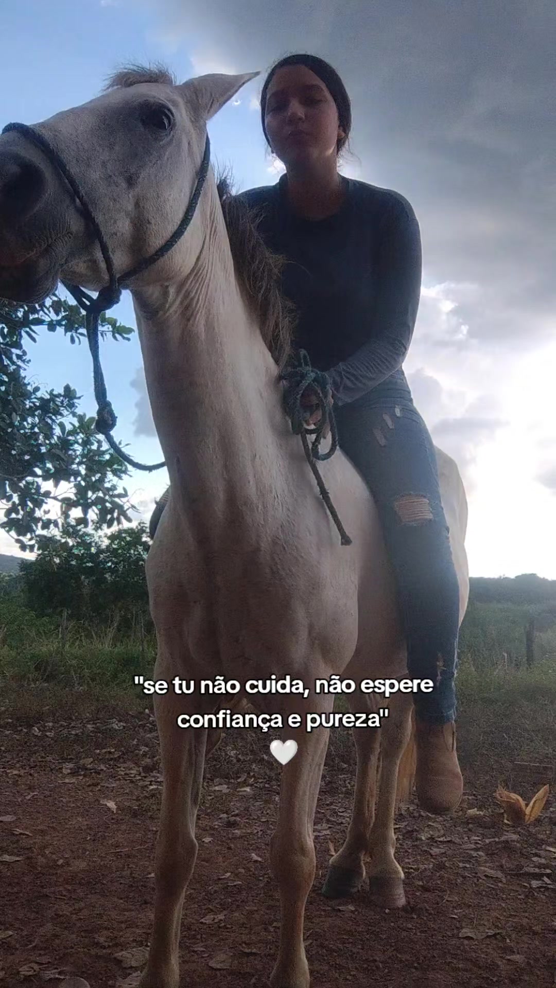 @Barbalho