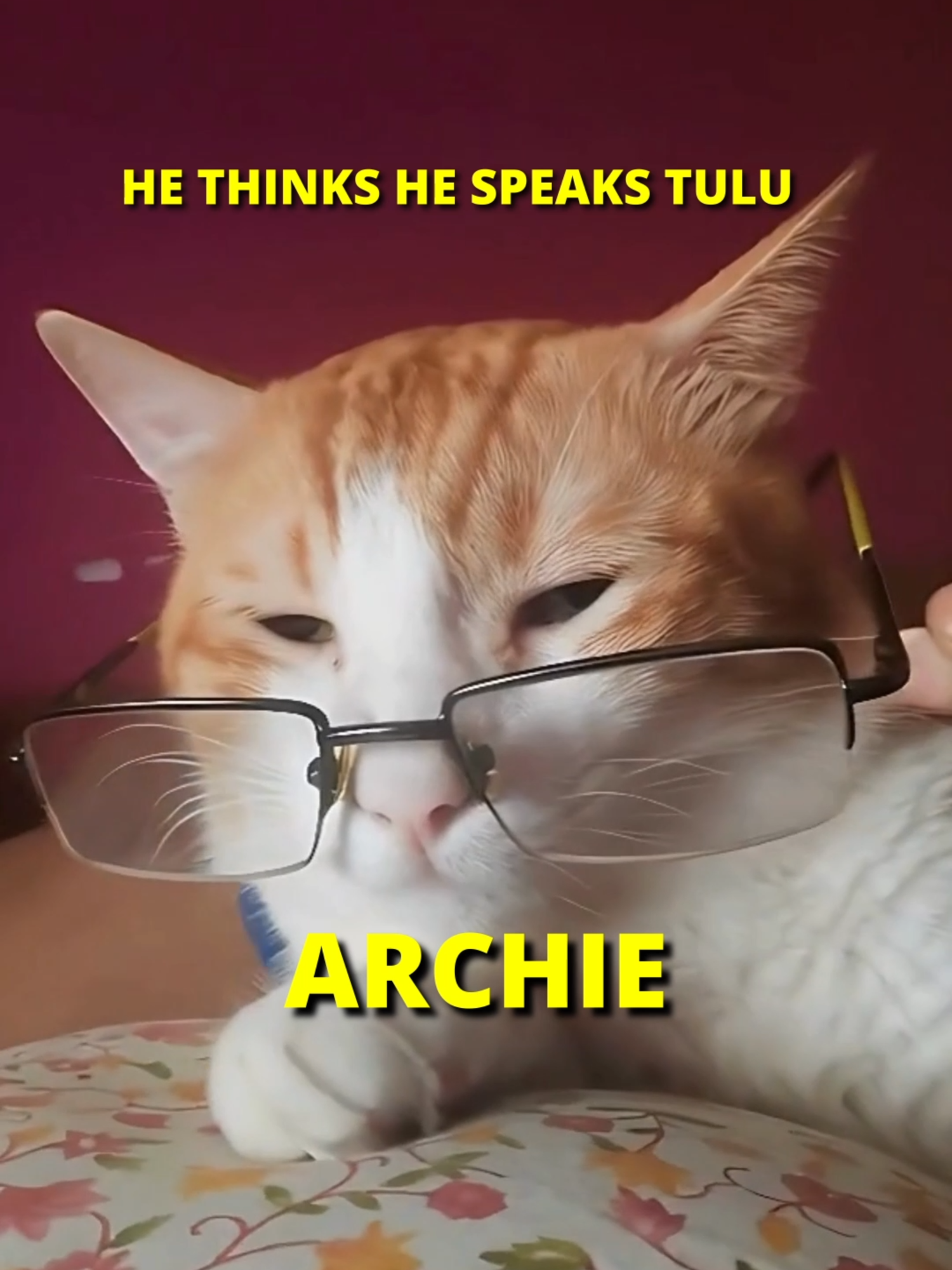 @The Languageist