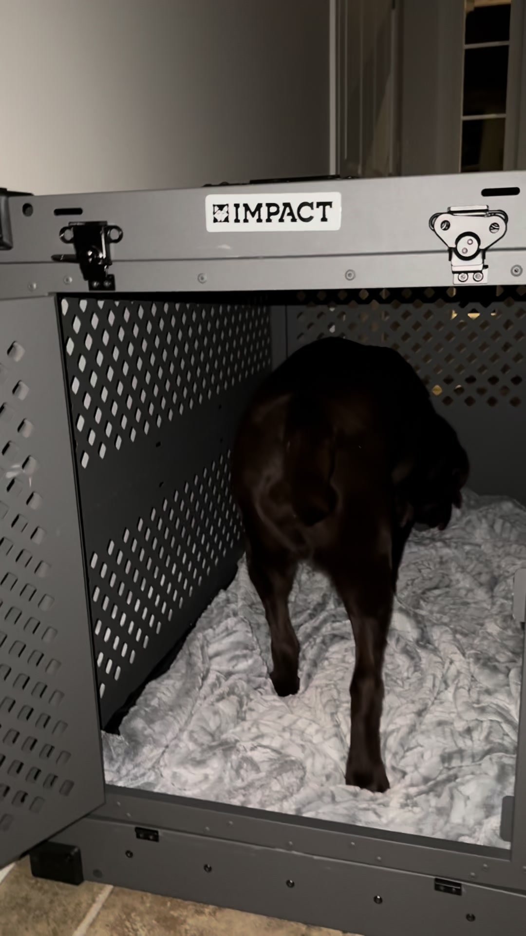 @the_lab_millie
