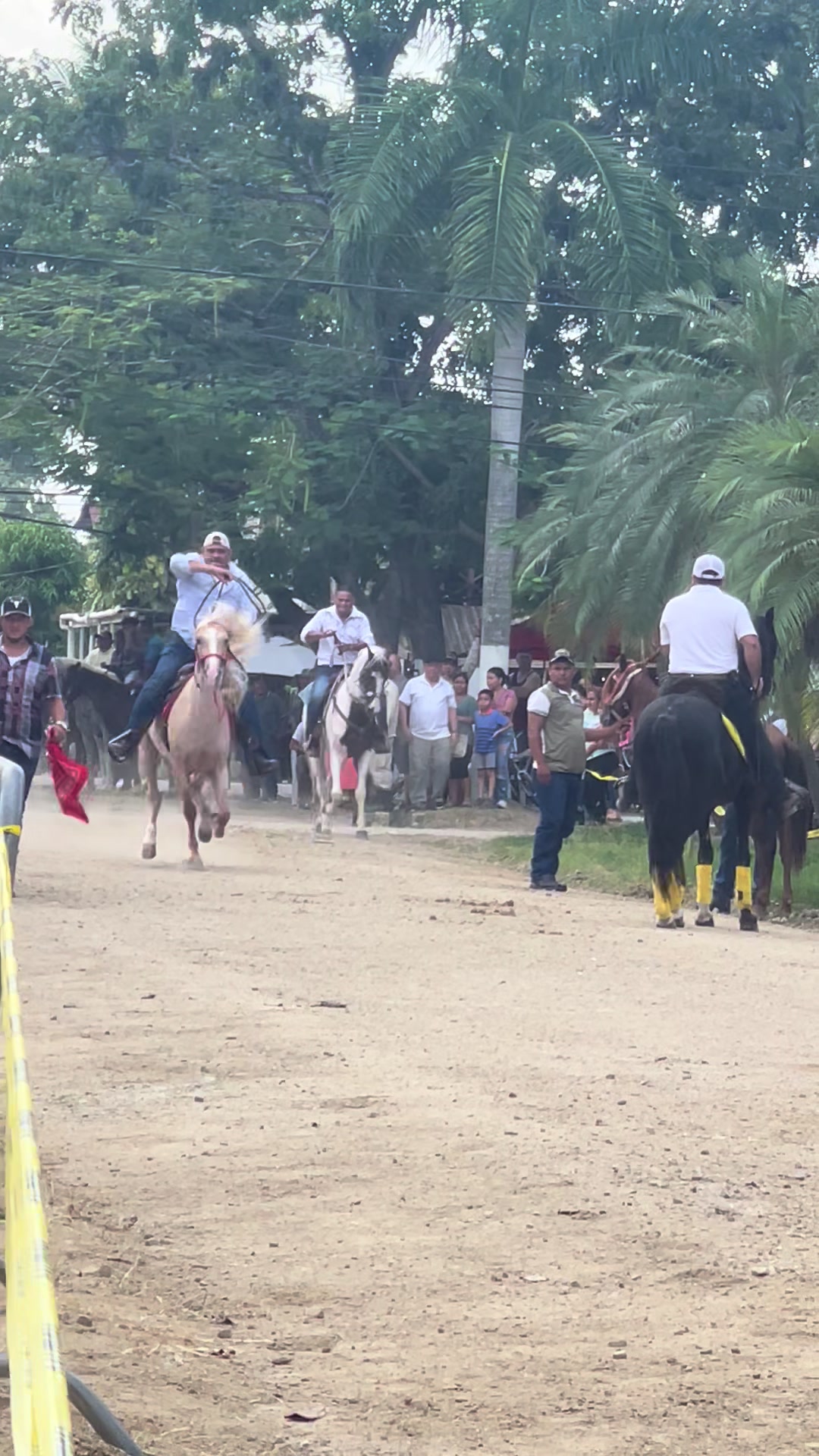 @&Aacute;ngeles Alvarado🤠🐎
