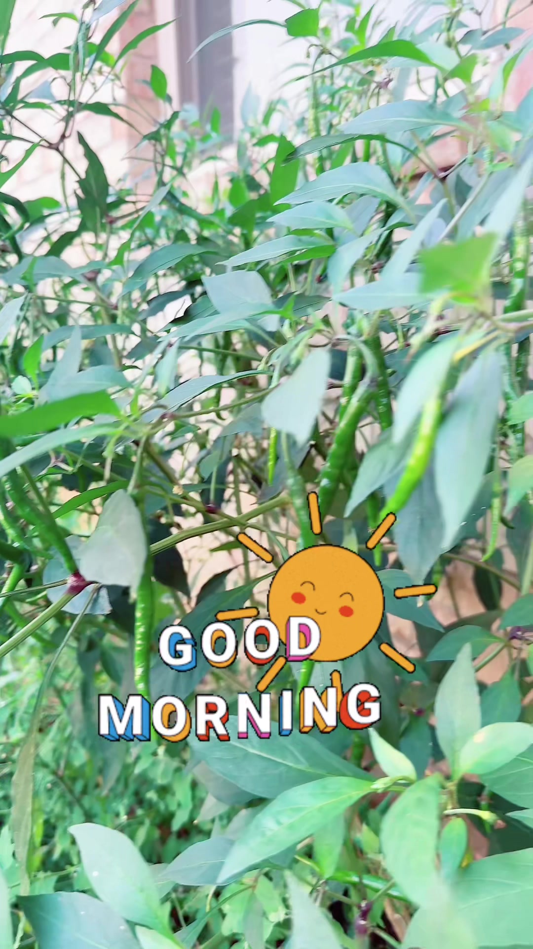 @sandhya🇺🇸🇺🇸❤️❤️🇳🇵🇳🇵❤️