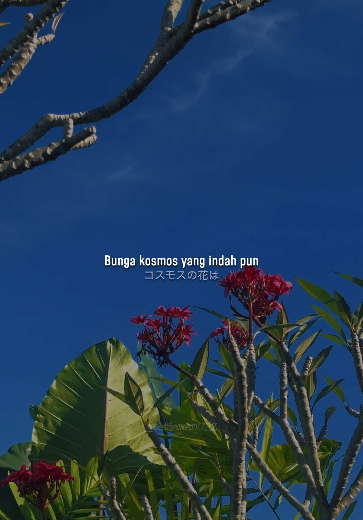 @_setiawanCRZ