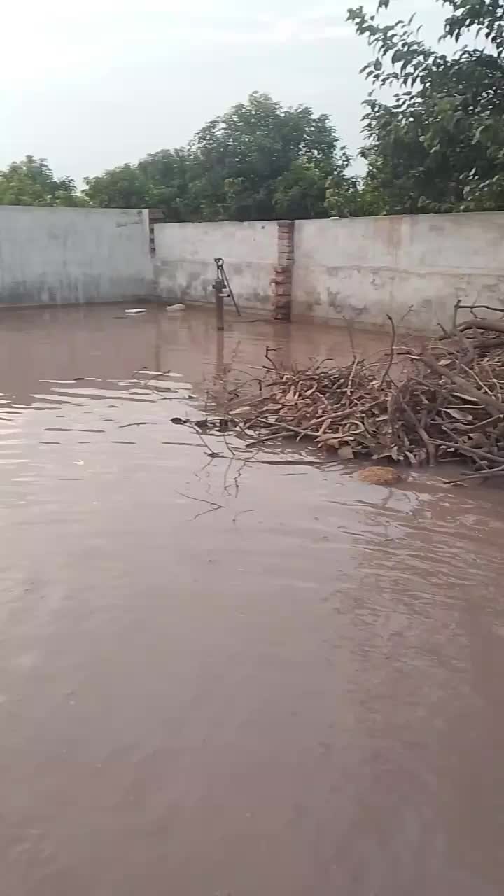 @mejja5555