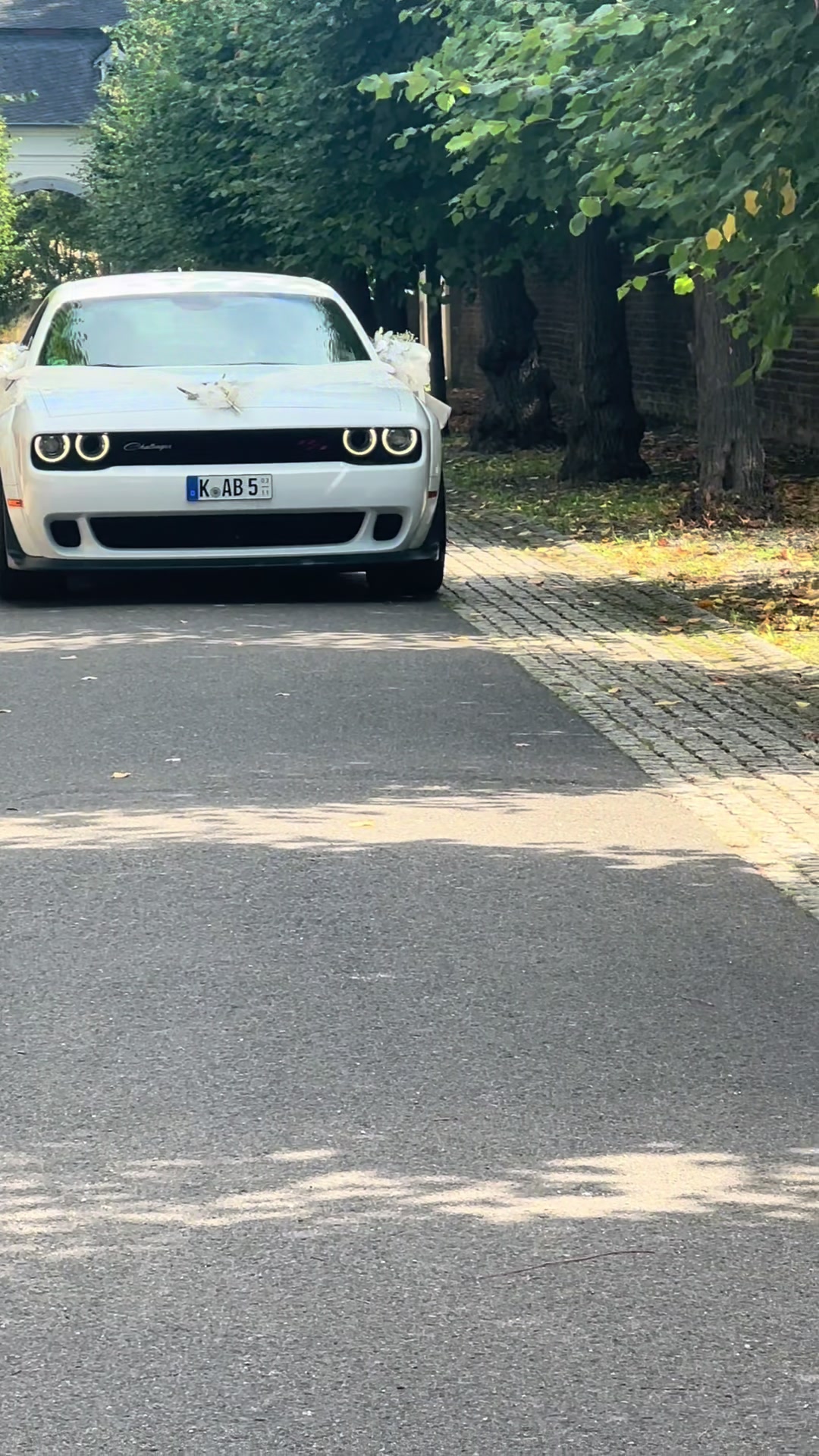 @Enzo V8