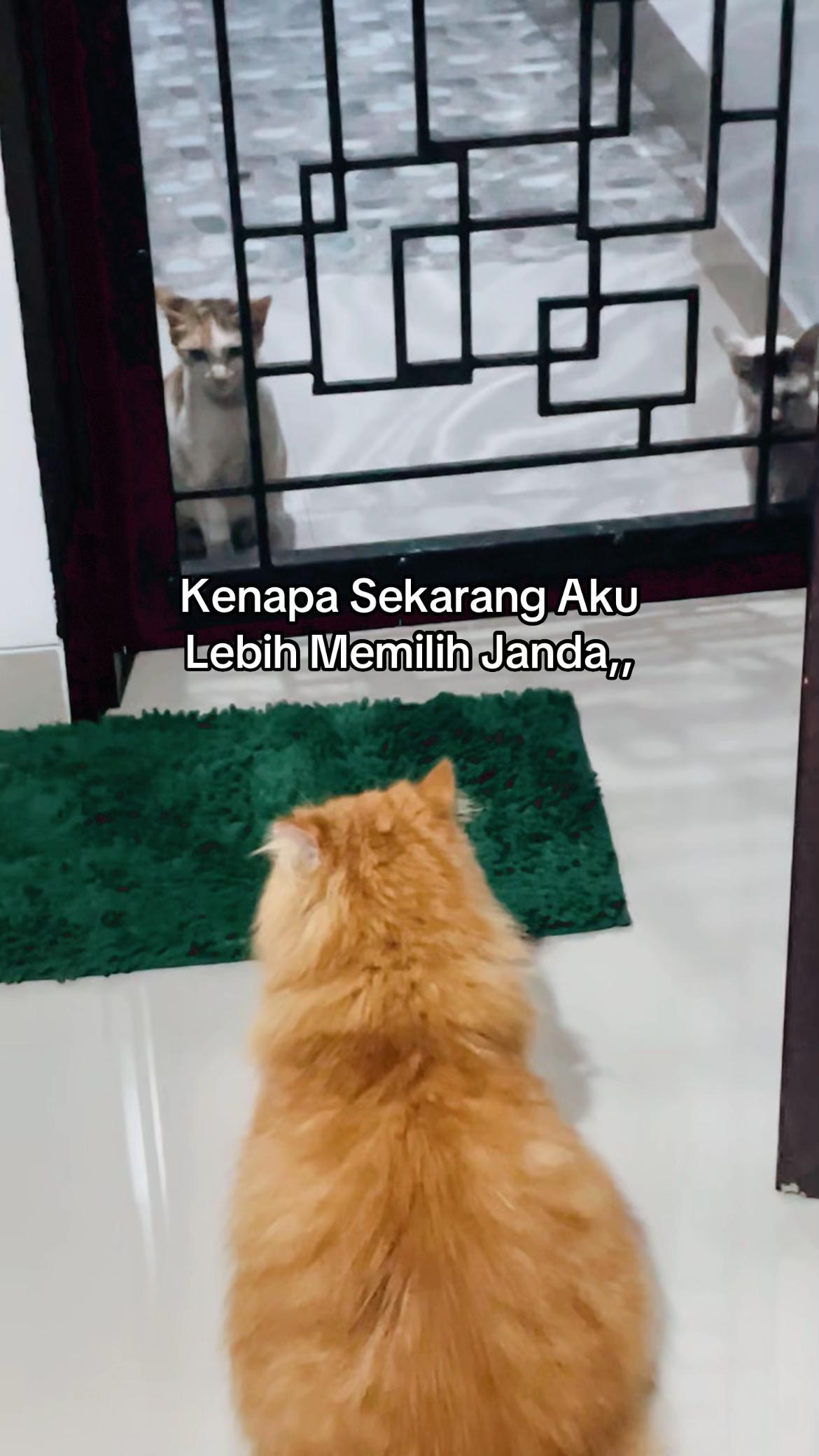 @Mommy, Eyon & Oyenz