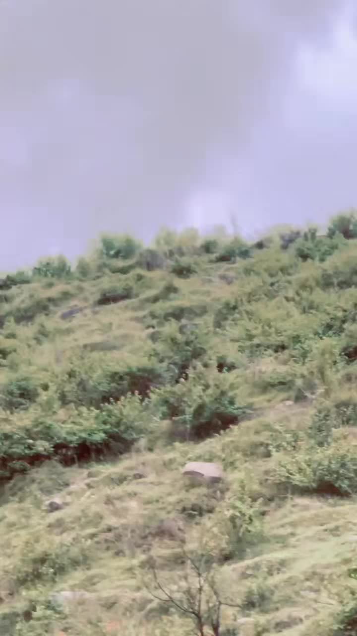 @مجرم۱۱۱(𖤍)