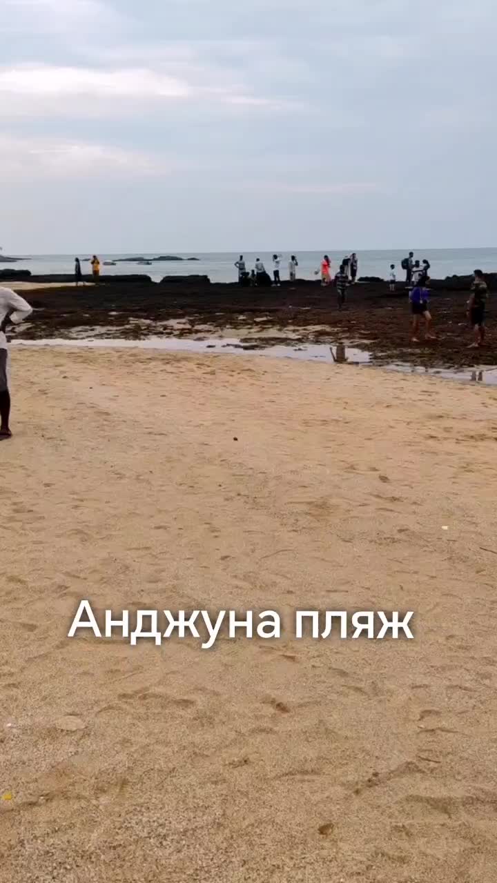 @Регина Синха
