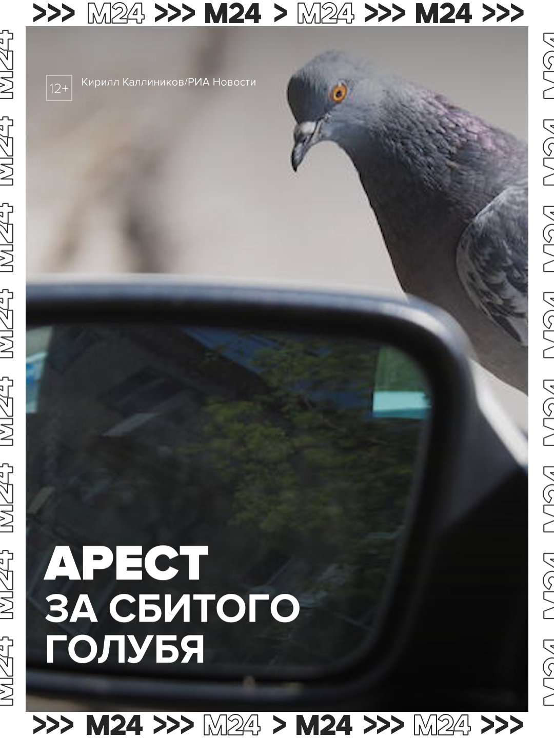 @Москва 24