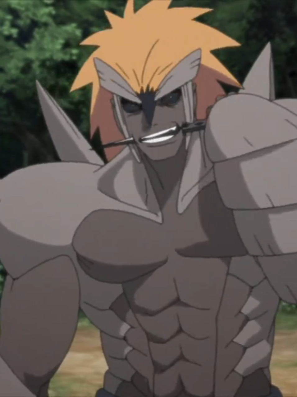 @Guerreros Anime
