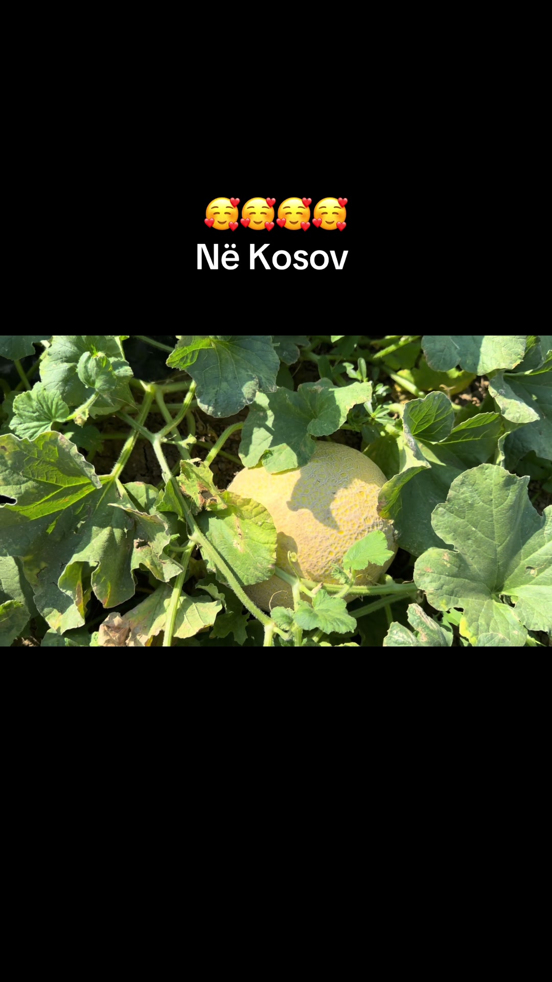 @Nevruz Krasniqi1977