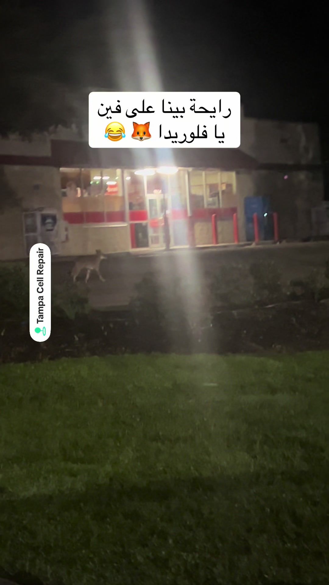 @Haytham Beshay - أمريكا مع اتش