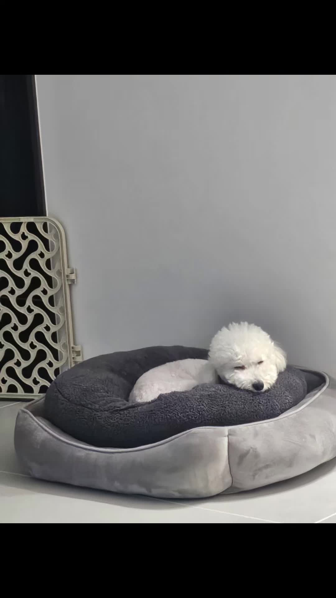 @코우
