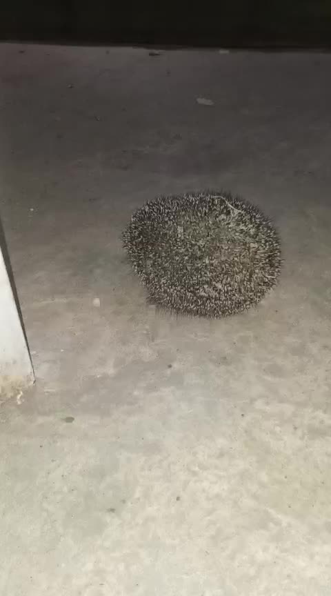 @Ольга