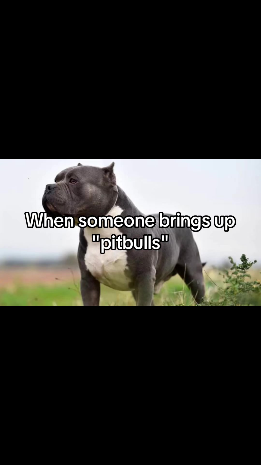 @𝓐𝓶𝓸𝓻𝓪𓂀☾𖤓𖣂