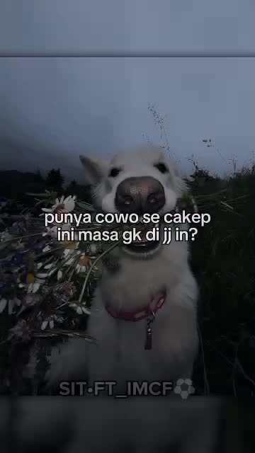 @random posts