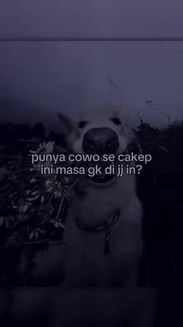 @random posts