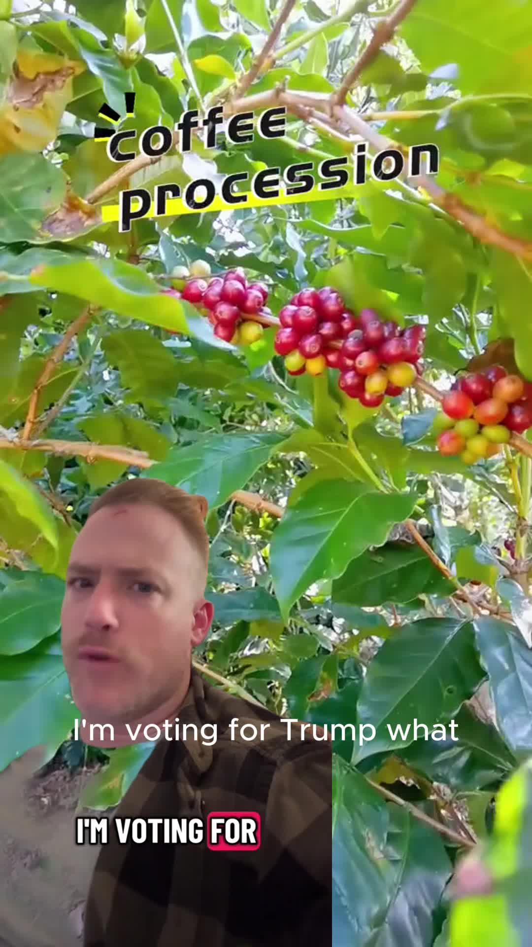 @ady23zy